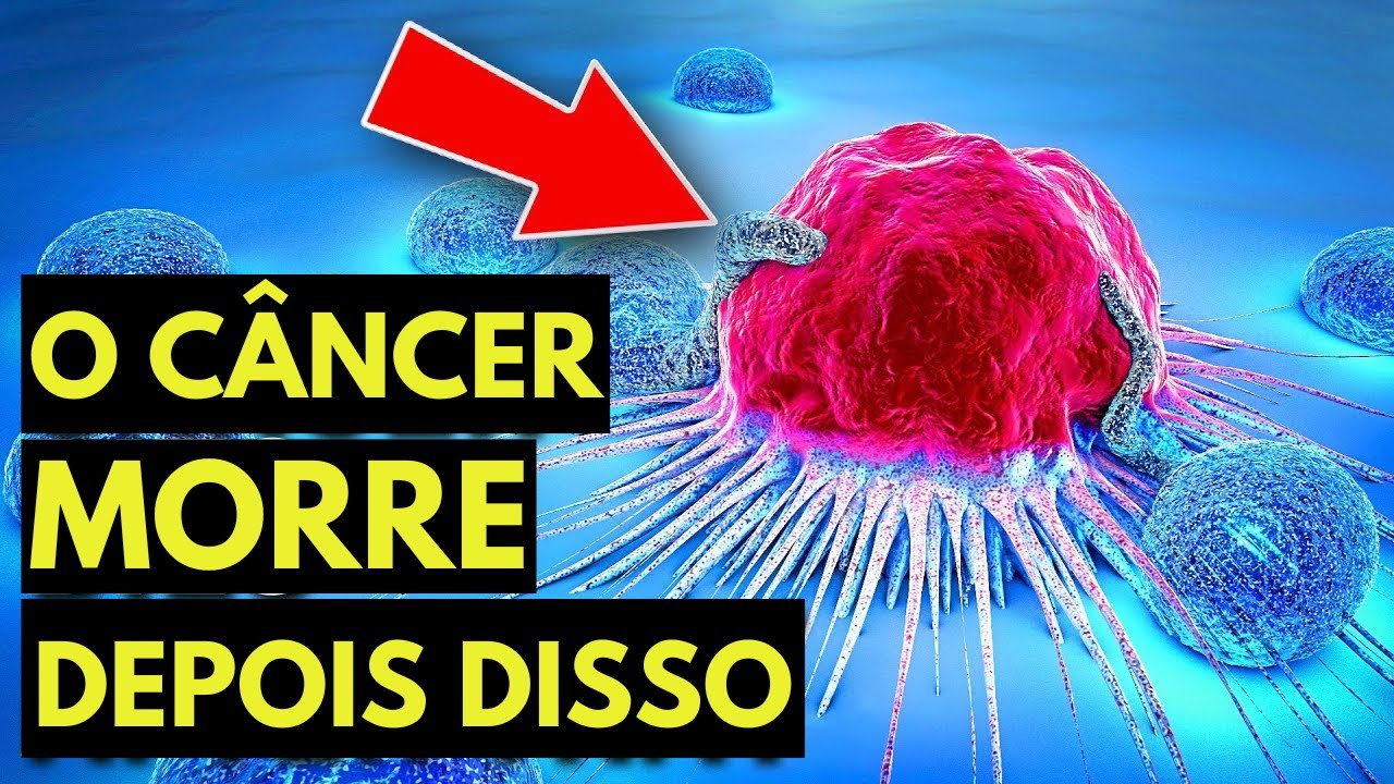 O câncer tem medo desses produtos! TOP 15 alimentos destruidores do cancro