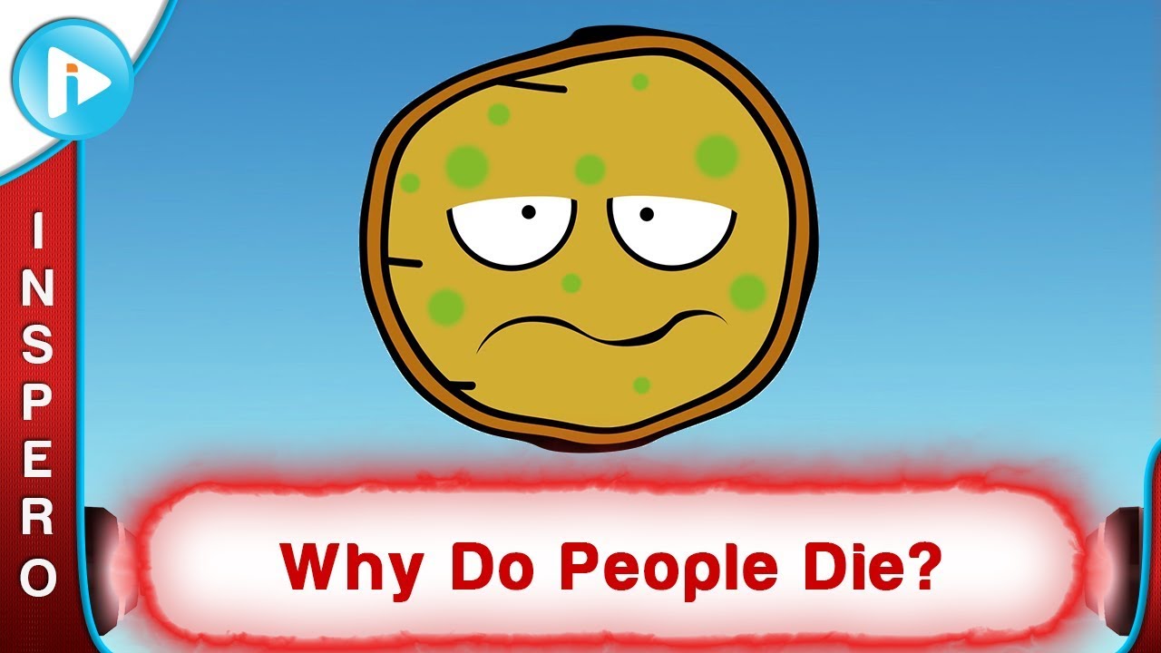 Why Do People Die of Old Age? - For Kids