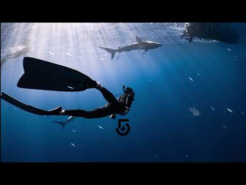 Skazi - The Drum (Aura Vortex Remix)