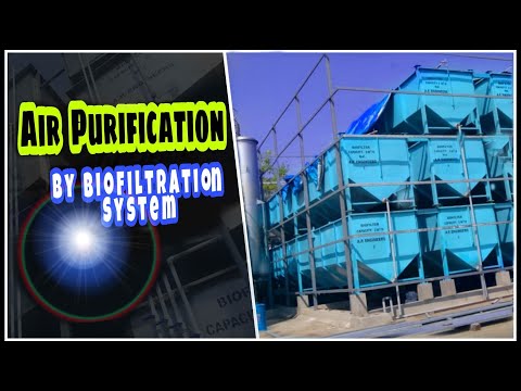 Fish meal plant machinery