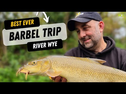 Best Ever Barbel Session - On The River Wye