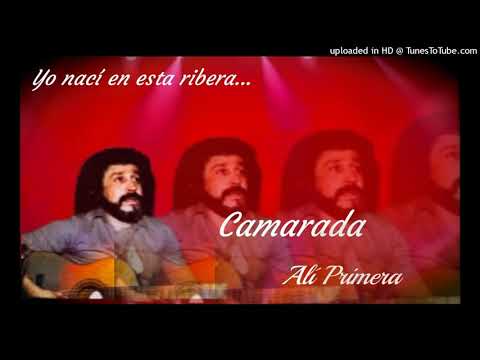 Camarada - Ali Primera