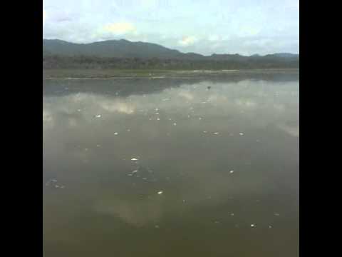 Ciénaga Papayal Bolívar.