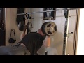 Incline Dumbbell Bench Press Power Hooks