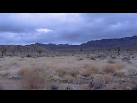 Mojave Desert Trip & Flash Flood Tips