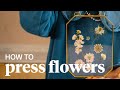 How To Press Flowers Flower Hour By Bloom Wild