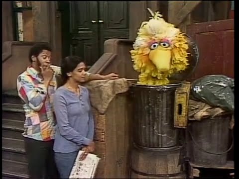 1040 Big Bird Decides To Be Grouchy