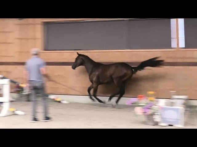 jumping