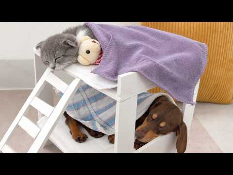 YouTube 썸네일