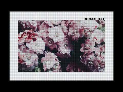 SOLD $uicideboy$ x Bones x Night Lovell x XXXTentacion Type Beat - "$ervius"