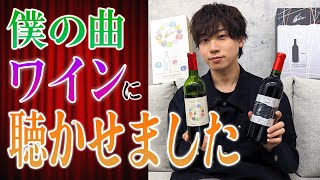 声優梶原岳人の歌を聴かせて熟成させたワインを飲んでみた【色違いの糸束加振熟成ワイン】