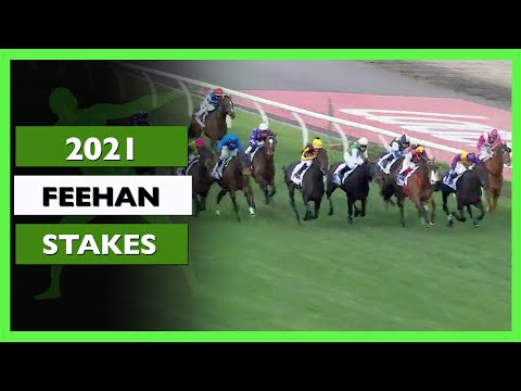 2021 Feehan Stakes | SUPERSTORM, Elephant, Dawn Patrol