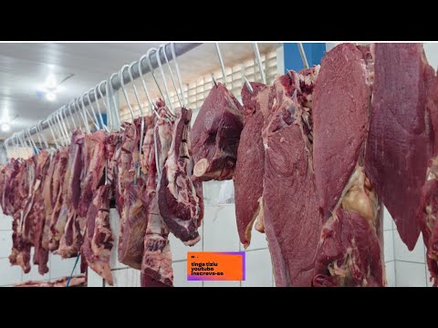 Feira Livre de taquarana aos sábados. Alagoas. 29.09.2026