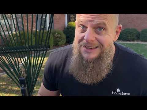 Rake ’Em or Leave ’Em? Why You Should Stop Raking Leaves