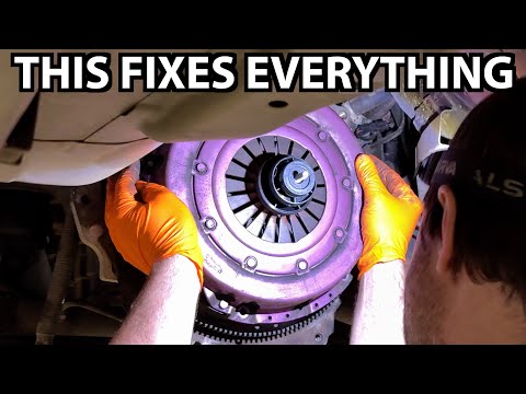 The Glorious Rise Of Bruce The Ute.