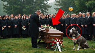 DOG BARKS AT CASKET DURING FUNERAL – PRIEST GETS NERVOUS WHEN SECRET IS UNCOVERED!