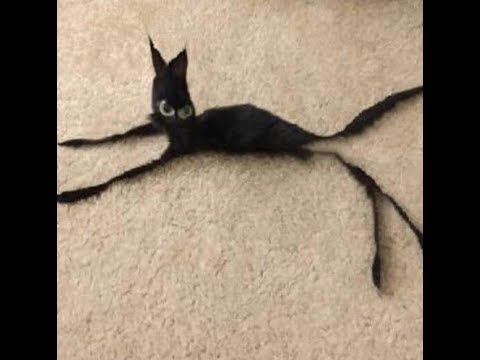 How to HIT target with longbow