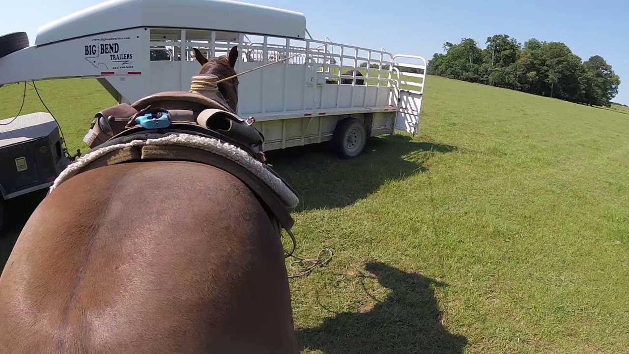 2026 Big Bend Trailers 20' Stock Combo with 4' Deluxe Tack Stock Trailers