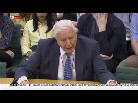 David Attenborough on plastic pollution & the environment (UK/Global) - Sky News - 10th July 2019