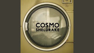 Cover art for The Moss