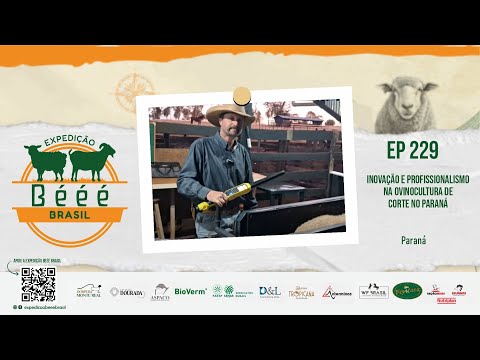 INOVAÇÃO E PROFISSIONALISMO NA OVINOCULTURA DE CORTE NO PARANÁ - EP 229
