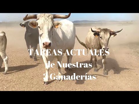 TAREAS ACTUALES URCOLAS Y MONTEVIEJO