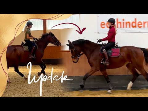 Besseres Körpergefühl & mehr Balance beim Jungpferd | Training mit Christmas