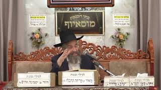 הרב משה כהן | הלכות ציצית | בית הכנסת מוסאיוף (בית הכנסת מוסאיוף) - התמונה מוצגת ישירות מתוך אתר האינטרנט יוטיוב. זכויות היוצרים בתמונה שייכות ליוצרה. קישור קרדיט למקור התוכן נמצא בתוך דף הסרטון הרב משה כהן | הלכות ציצית | בית הכנסת מוסאיוף (בית הכנסת מוסאיוף) - התמונה מוצגת ישירות מתוך אתר האינטרנט יוטיוב. זכויות היוצרים בתמונה שייכות ליוצרה. קישור קרדיט למקור התוכן נמצא בתוך דף הסרטון