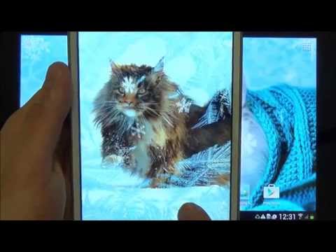 Cute Winter Wallpaper Video