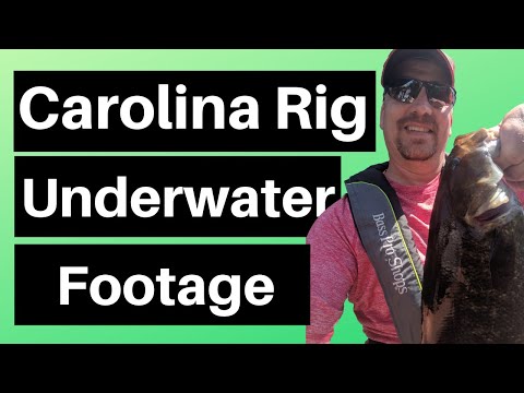 Carolina Rig: An Unbeatable Technique for Hard, Flat Bottoms - USAngler