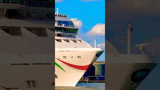 Norwegian Dawn 🛳️#like #share #comment #subscribe #cruiseship #cruise #vacation #shorts #short #wow