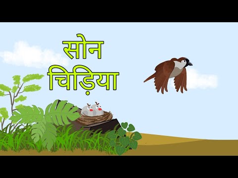 Son chiriya | cartoon | chidiya ki kahani | chidiya ka dana | bhukhi chidiya | chidiya wala cartoon
