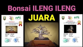 Download lagu Pengawatan /Wiring Ranting Bonsai Ileng Ileng mp3
