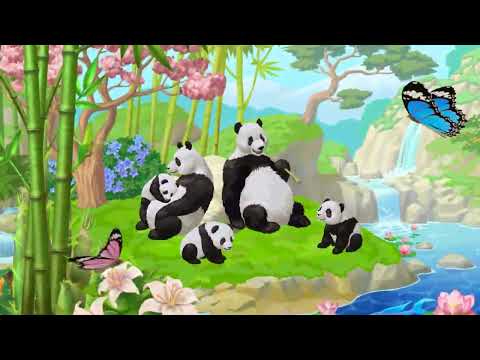 Abandoned Zoo: Pandas Video