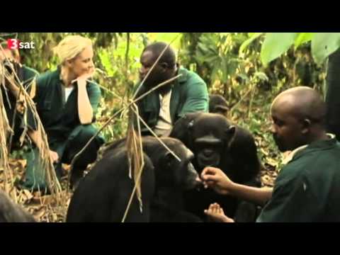 Was haben Mensch und Tier gemeinsam? Antworten des Philosophicums in Lech