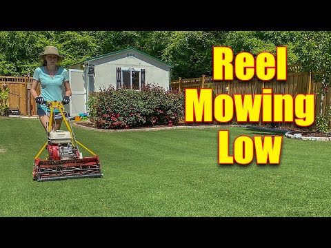 image-What is the best rotary lawn mower?What is the best rotary lawn mower?