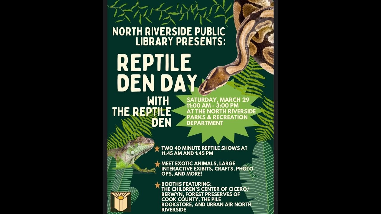 Promotional video thumbnail 2 for The Reptile Den