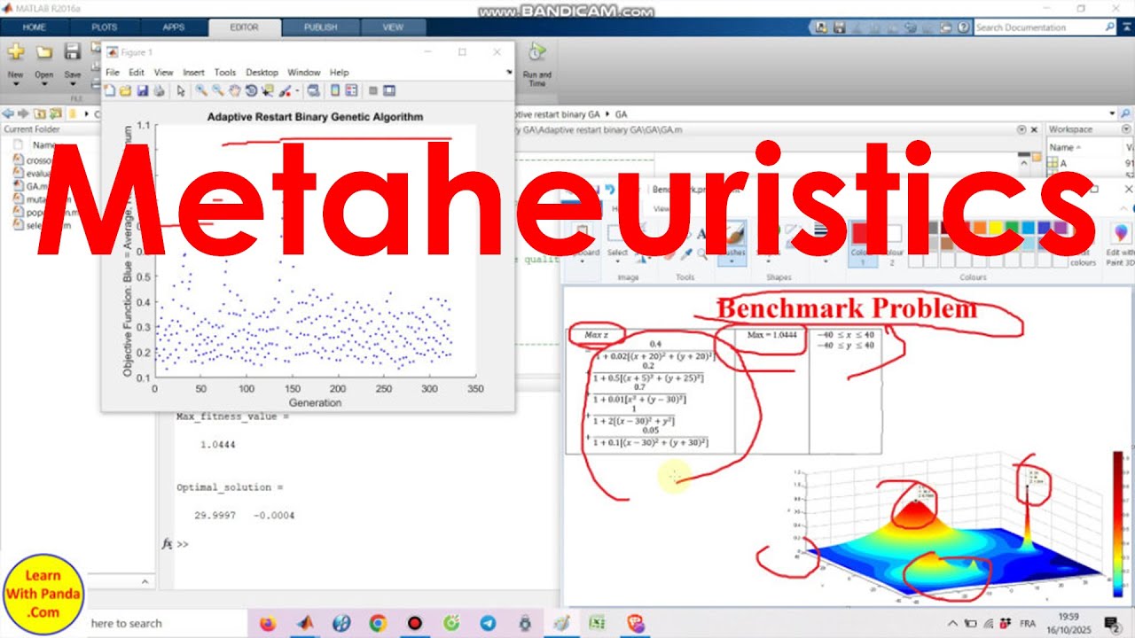 Metaheuristics