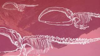 I Was A Bastard - Red Colour