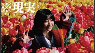オランダのチューリップ畑が現実離れしすぎてる件🌷