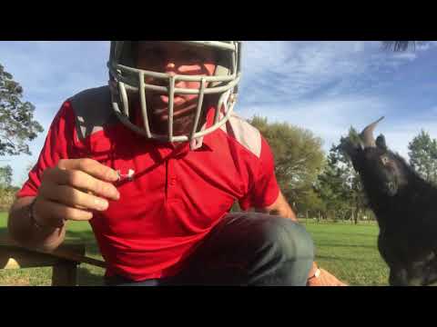 Billy Goat teaches proper head-butt technique!