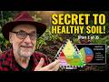 The Soil Secret Most Gardeners Get Wrong, Part 1 of 3
