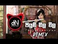Piyum Neela Wila DNBeats Remix