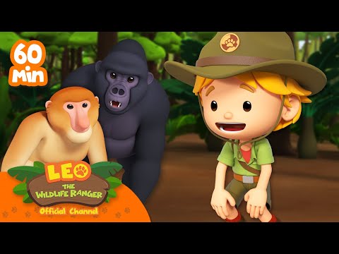 1 HOUR OF FUNNY AND INTELLIGENT MONKEYS AND GORILLAS! 🦍 | Leo the Wildlife Ranger | #compilation