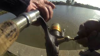 Big Stonker Trout Fishing 2023 Fish No 12