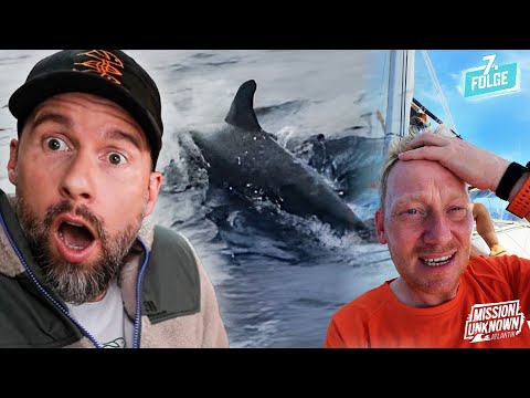 Seltene Delfinart bei Team Blue? Mission Unknown: Atlantik - Folge 7 | Robert Marc Lehmann reagiert