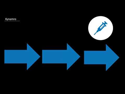 BCM201 AV Presentation Group 04 Final Submission
