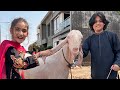Bakra Eid Mubarak First Day Celebration MUSATANVEER