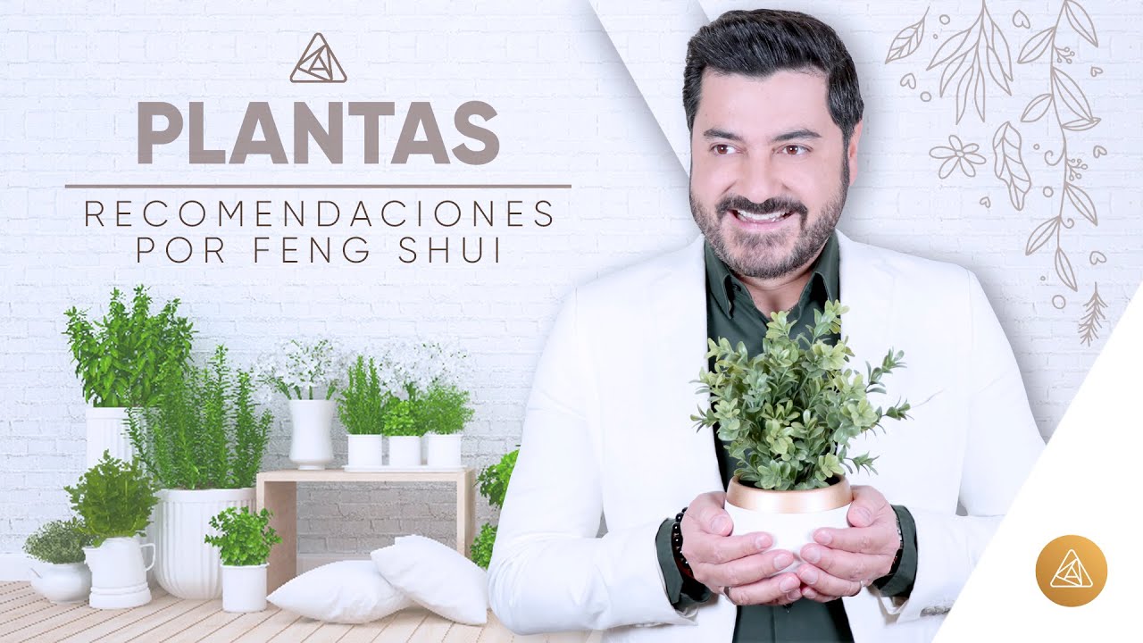PLANTAS POR FENG SHUI | ALFONSO LEÓN ARQUITECTO DE SUEÑOS