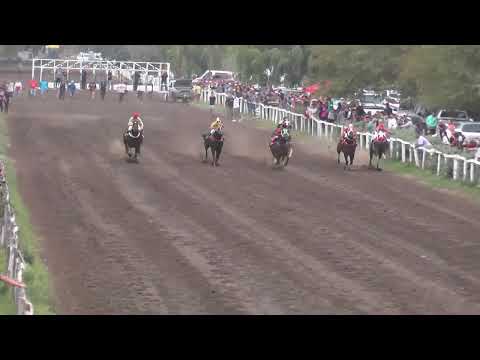 CASCARRABIAS  Club Hipico  "Riveras Neuquinas" - Vista Alegre - 02-04-2023